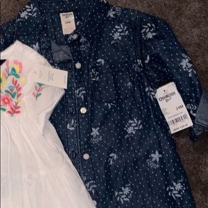 24 month NWT button down denim dress